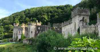Gwrych Castle is tipped to replace jungle in I'm A Celebrity