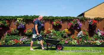 Man spends £1,000 a year on his garden 'to keep people smiling'