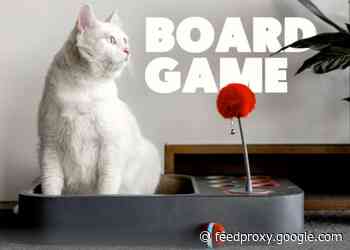 Cheerble smart interactive cat toy scratcher and catcher