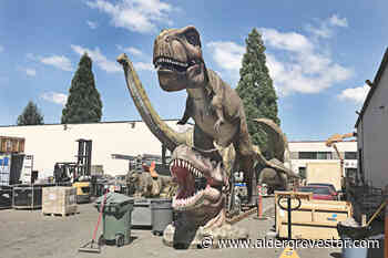 T-Rex earns big bids at Langley dino auction – Aldergrove Star - Aldergrove Star