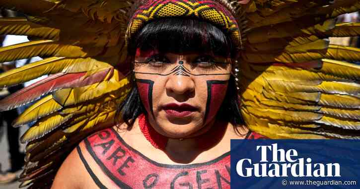 'The Amazon is the vagina of the world': why women are key to saving Brazil's forests
