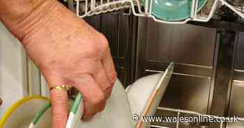 Expert says whether you should rinse plates before using a dishwasher