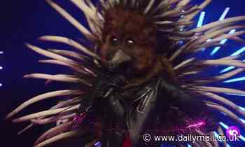 The Masked Singer's Echidna is the first to be revealed - and Jackie 'O' Henderson got it right