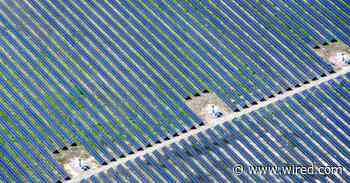 Why Do Solar Farms Kill Birds? Call in the AI Bird Watcher