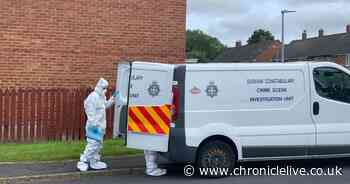 Investigation continues in Stanley after man in his 30s injured during incident