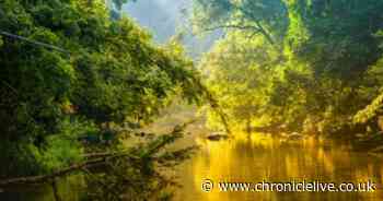 How to watch Equator on new channel Sky Nature in the UK