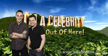 I'm A Celeb campmates say they wouldn't sign up for 'wet Wales'