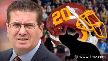 Dan Snyder Accuses Fired Assistant of Feeding Info to Site Behind Fake Stories