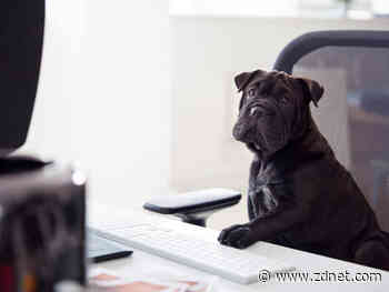 It's not your imagination: Work-from-home tech prices have surged in the pandemic