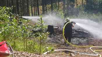 Wald bei Murg in Flammen: Landwirte helfen Feuerwehr - SWR