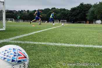 Popular member of Sheffield Wednesday coaching team moves on to New York role - The Star