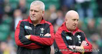 The Sunday rugby headlines as Shaun Edwards rules himself out of coaching role with Warren Gatland's Lions - Wales Online