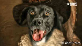 New Jersey photographer turns photos of shelter dogs into digital art to promote adoption