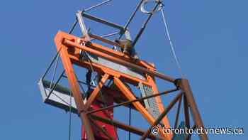 Raccoon stuck over downtown Toronto after scaling construction crane