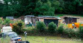 West Wales couple in court again because their 16 dogs bark too loud