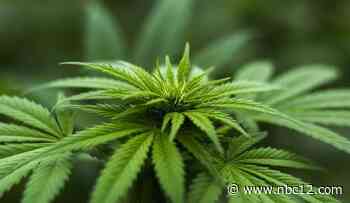 Medical Cannabis: Here is how you can register to use it in Virginia - WWBT NBC12 News