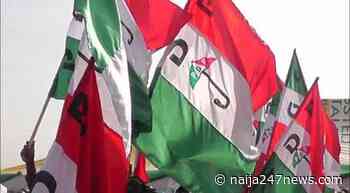 PDP State Congress: Smooth sail for all contestants in Bauchi - Naija247news