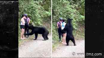 Wild Bear Castrated After Sniffing Woman's Hair at Park in Mexico