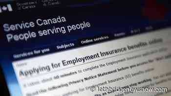 Ottawa sets minimum unemployment rate at 13.1 per cent for EI calculation - Lethbridge News Now