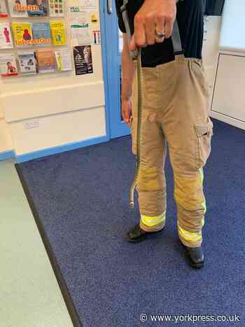 Snake found in children’s club in Selby