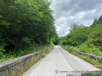 Giurlani sollecita la Provinciasul taglio dell'erba: “Hanno ragione il circolo di Vellano e chi si lamenta - valdinievoleoggi.it