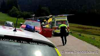 Pieve Tesino: operaio taglia l'erba a bordo strada e ha un malore, morto - TrentoToday
