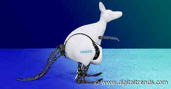 Robots Everywhere: Robots and the animal kingdom