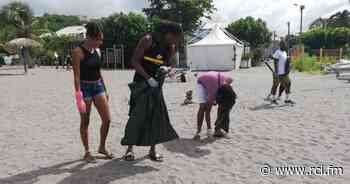 Nettoyage de la plage de l'Anse Madame - RCI