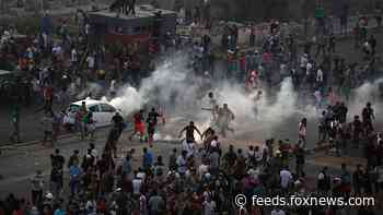 Lebanese protesters storm government buildings as prime minister vows early elections