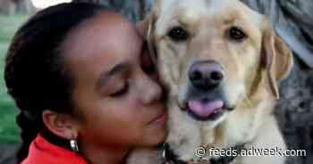 Agencies Are Working With Nonprofits to Switch Gears During the Pandemic