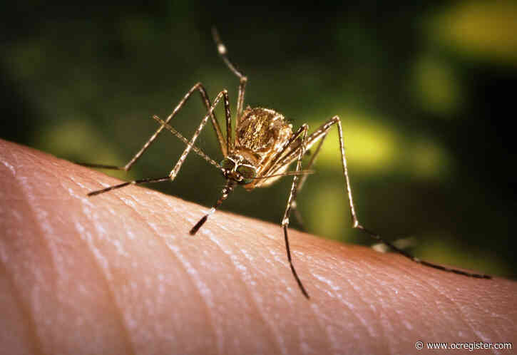 A child is Orange County’s first case of West Nile virus in 2020
