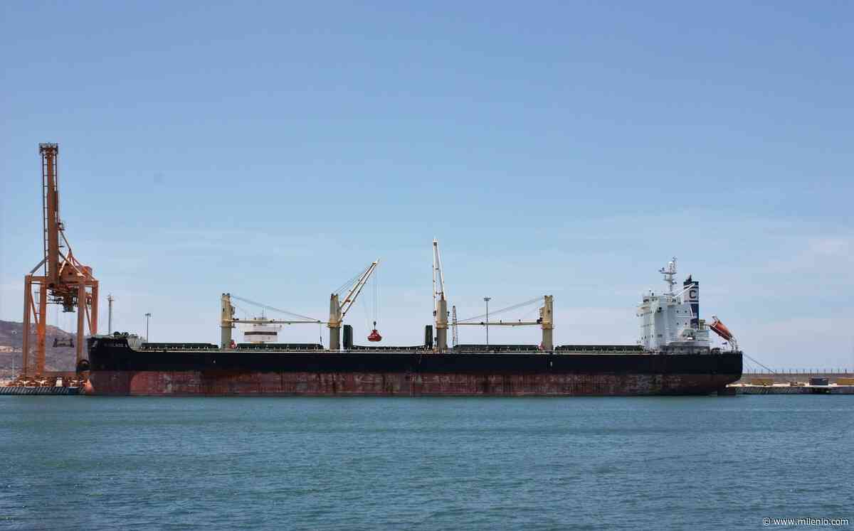 Analizan viabilidad de modernización del puerto de Salina Cruz - Milenio