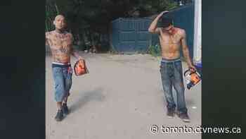 Bloodied men with chainsaws arrested after fight near Toronto beach - CTV Toronto