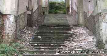 I'm A Celebrity set to be filmed 'right next to dogging hotspot'