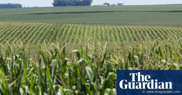 Gene manipulation using algae could grow more crops with less water