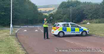 Man taken to hospital with serious injuries after falling from A1 bridge