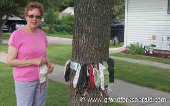 Grand Forks woman makes masks, pins them to a tree near her home to help others in COVID fight - Grand Forks Herald