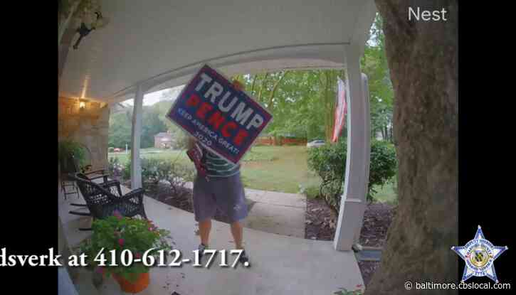 Caught On Cam: Trump 2020 Campaign Signs Stolen From Bel Air Yards