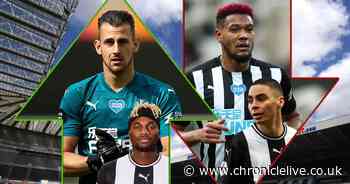Transfer values of each NUFC player