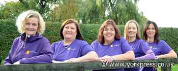 Pro Development offers funded training to businesses