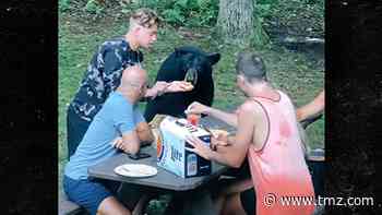Family Feeds Wild Black Bear Peanut Butter and Jelly Sandwich