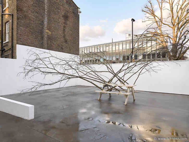 Hugh Hayden Crafts the Legacy of the African Diaspora