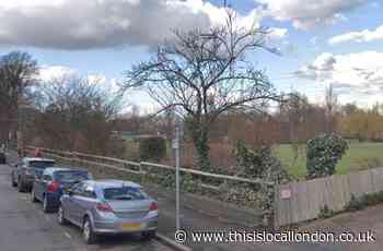 Police appeal after man exposes himself in Wimbledon park