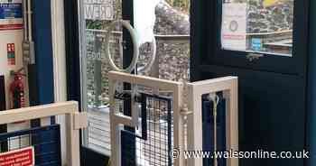 Cafe and RNLI lifeboat station targeted in Tenby burglaries