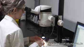 Some Canadian oil paintings are starting to degrade. Saskatoon researchers found out why.