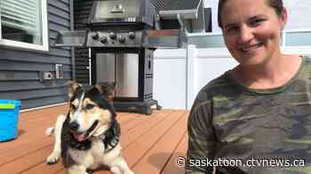 'She had a really weird cough': How a common weed can pose a threat to dogs in Saskatoon