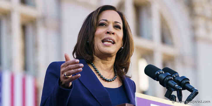 Kamala Harris Speaks Out After Being Picked as Joe Biden's Vice President