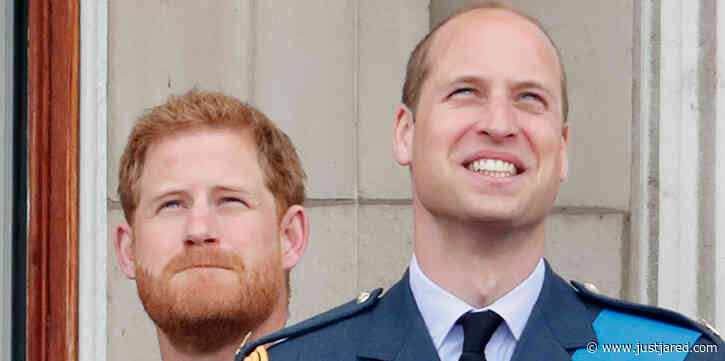 Prince William & Prince Harry's Fights Were Often Over Money