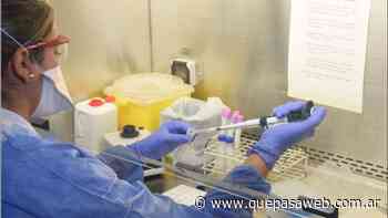 Estado de situación: casos de coronavirus en San Martín al 11 de agosto - Que Pasa Web