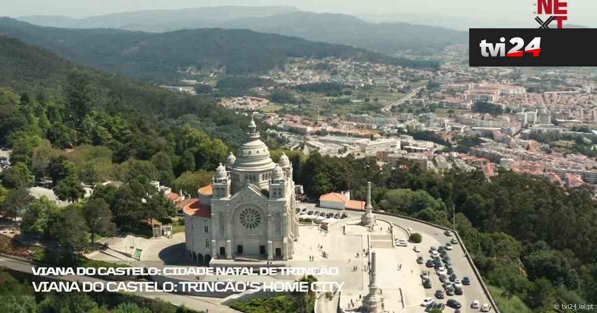 A história de vida de Trincão, de Viana do Castelo a Barcelona - Diário IOL